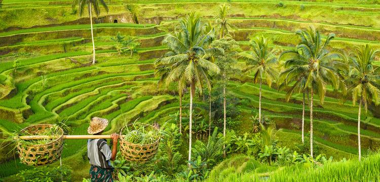 weather India Bali