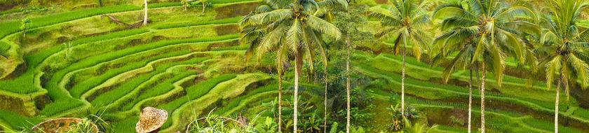  Infos <strong>pratiques</strong> 