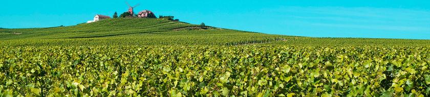  Infos <strong>pratiques</strong> 