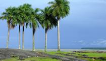 Kourou