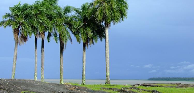Kourou