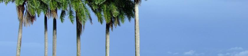  Infos <strong>pratiques</strong> 