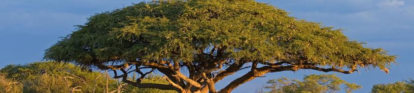  Infos <strong>pratiques</strong> 