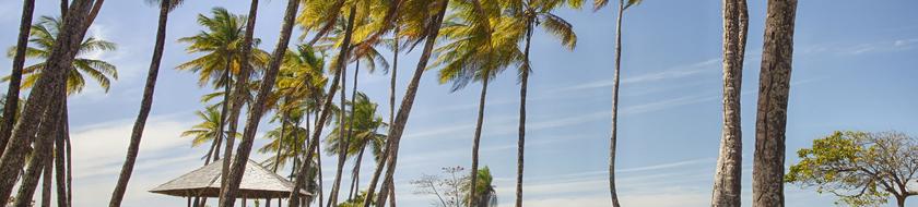  Infos <strong>pratiques</strong> 