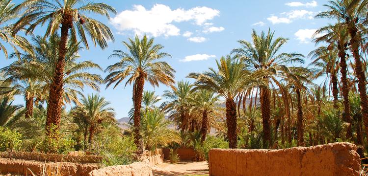 weather Morocco Zagora