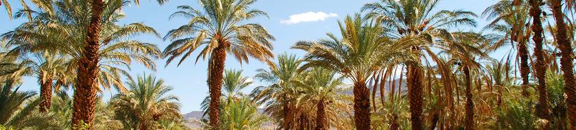  Infos <strong>pratiques</strong> 