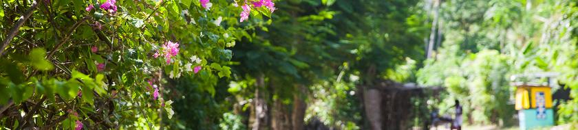  Infos <strong>pratiques</strong> 