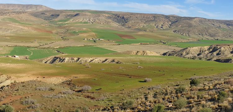 meteo Algérie Tiaret