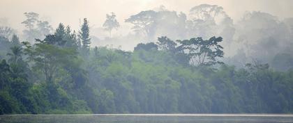 weather Central African Republic Bangui