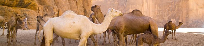  Infos <strong>pratiques</strong> 