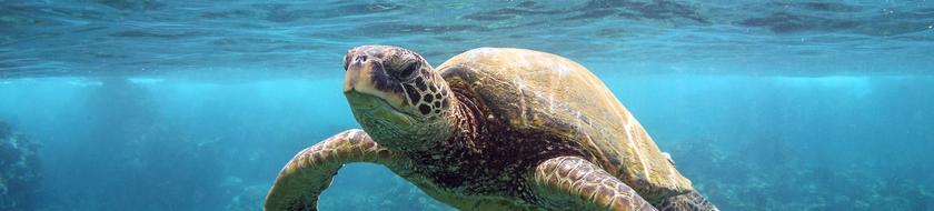  Infos <strong>pratiques</strong> 