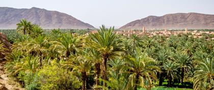 meteo Maroc Figuig