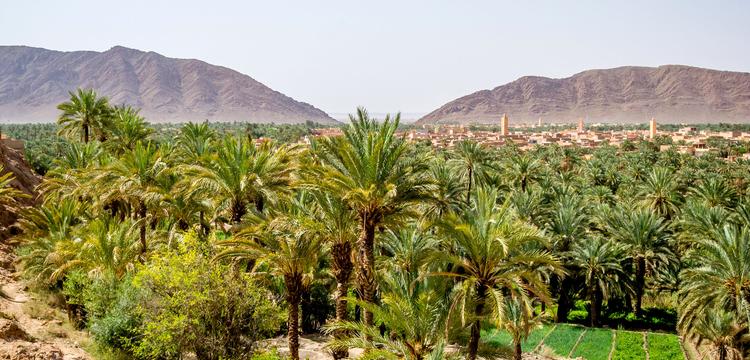 weather Morocco Figuig