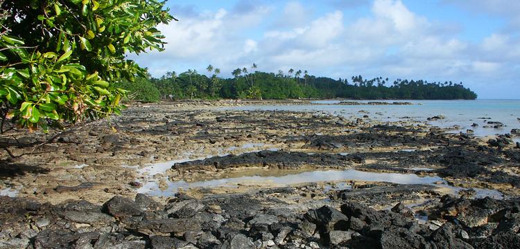 Mata Utu