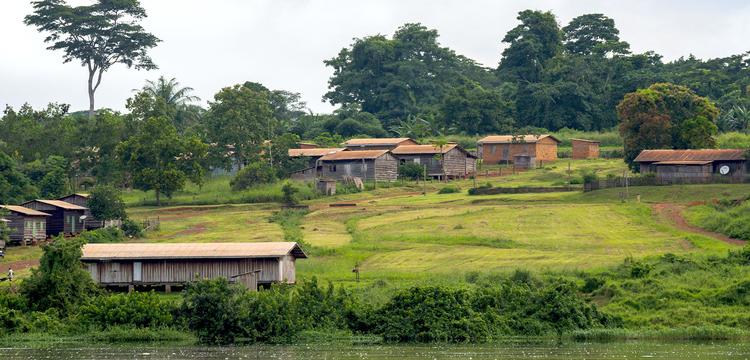 weather Congo Brazzaville