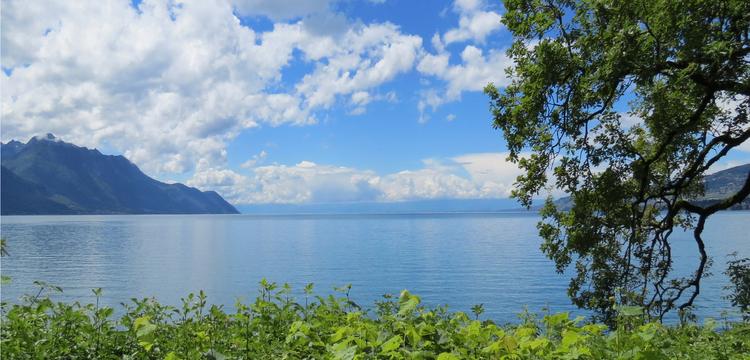 meteo Suisse Genève