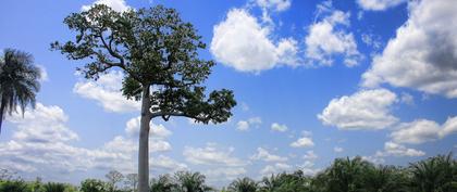 weather Togo Lomé