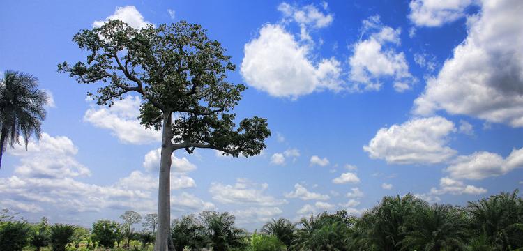 Lomé