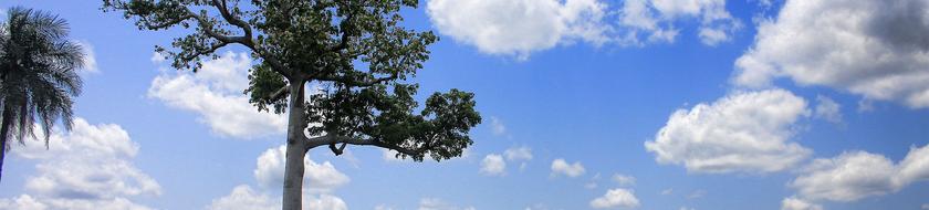  Infos <strong>pratiques</strong> 