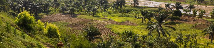  Infos <strong>pratiques</strong> 