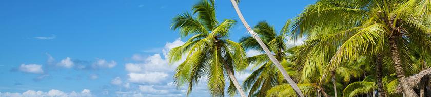  Infos <strong>pratiques</strong> 