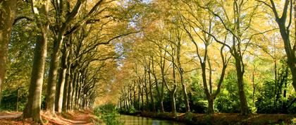 weather France Haute-Garonne