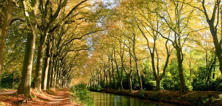weather France Haute-Garonne