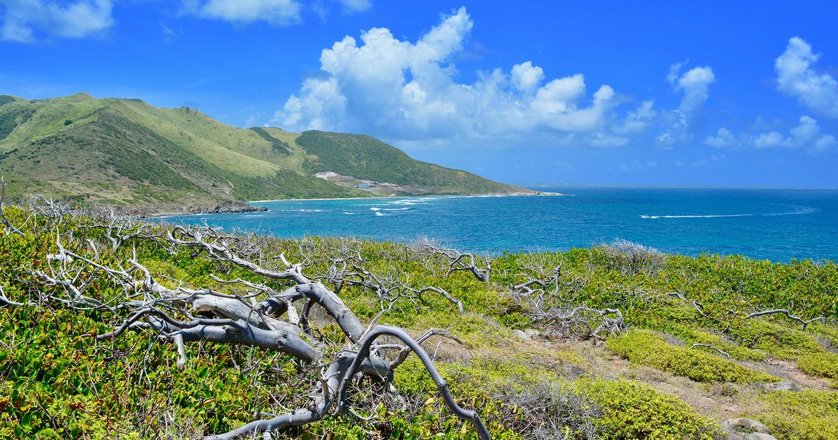 January Weather in St Martin Perfect Island Getaway