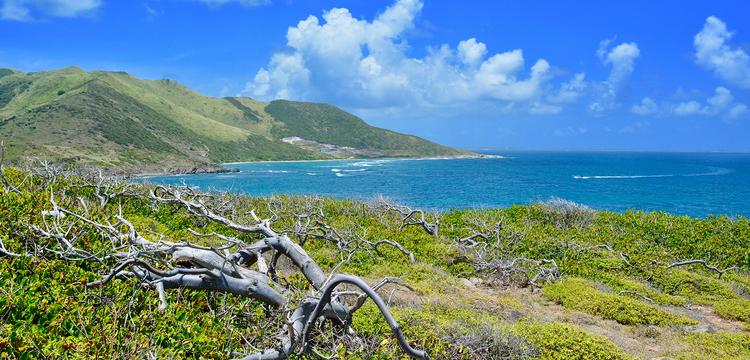 Saint-Martin