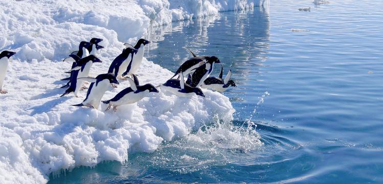 weather France French Southern and Antarctic Lands
