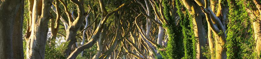  Infos <strong>pratiques</strong> 