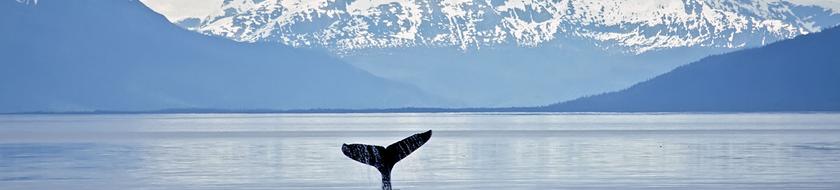  Infos <strong>pratiques</strong> 