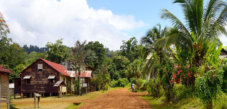Guyane