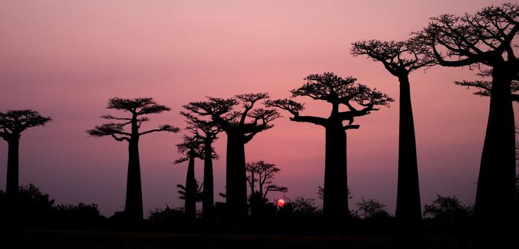 Madagascar