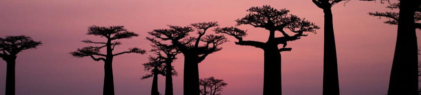  Infos <strong>pratiques</strong> 