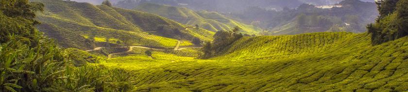  Infos <strong>pratiques</strong> 