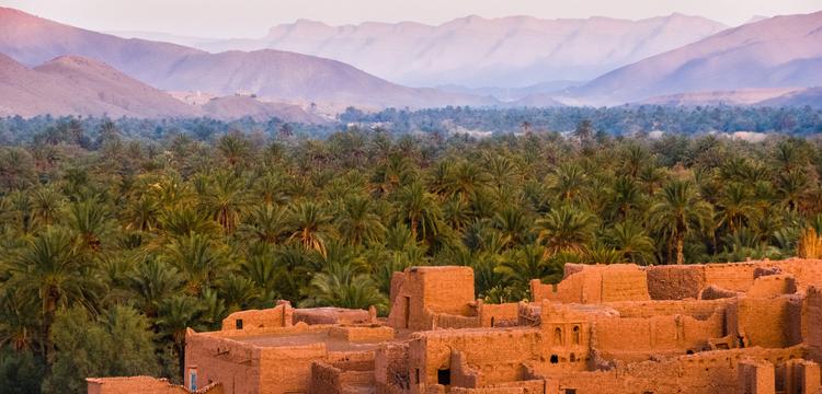 weather Morocco Tamraght