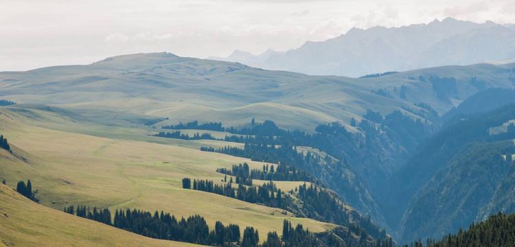 meteo Mongolie Turgen