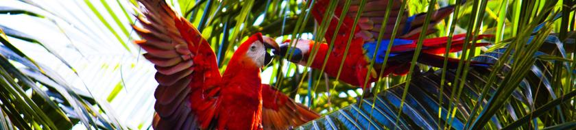  Infos <strong>pratiques</strong> 