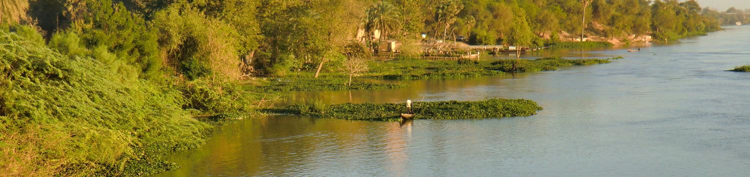 meteo Niger Aouloumal