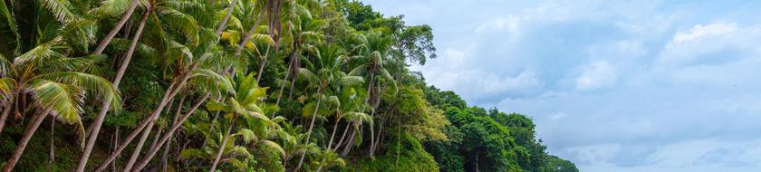  Infos <strong>pratiques</strong> 