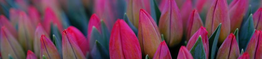  Infos <strong>pratiques</strong> 