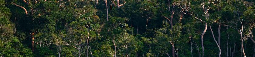  Infos <strong>pratiques</strong> 