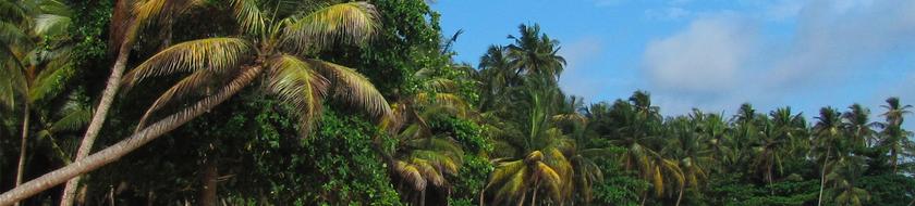  Infos <strong>pratiques</strong> 