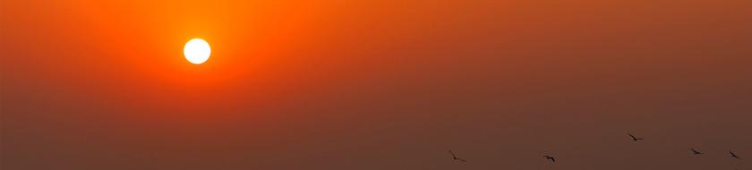  Infos <strong>pratiques</strong> 