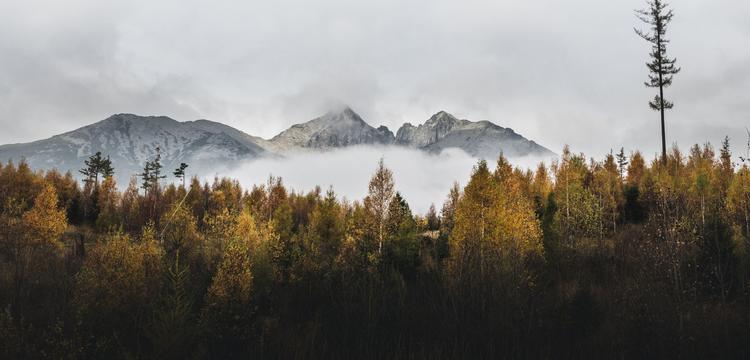 weather Slovakia Jarovce