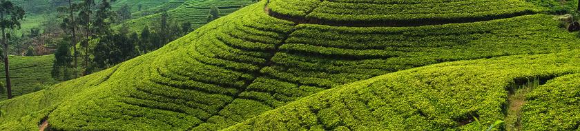  Infos <strong>pratiques</strong> 