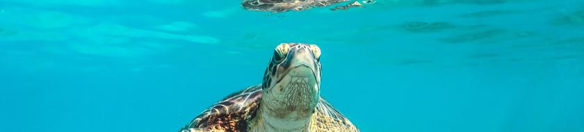  Infos <strong>pratiques</strong> 