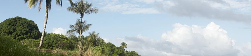  Infos <strong>pratiques</strong> 