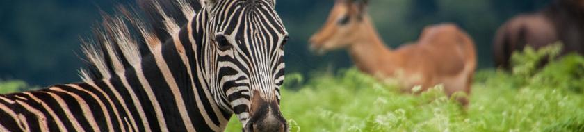  Infos <strong>pratiques</strong> 